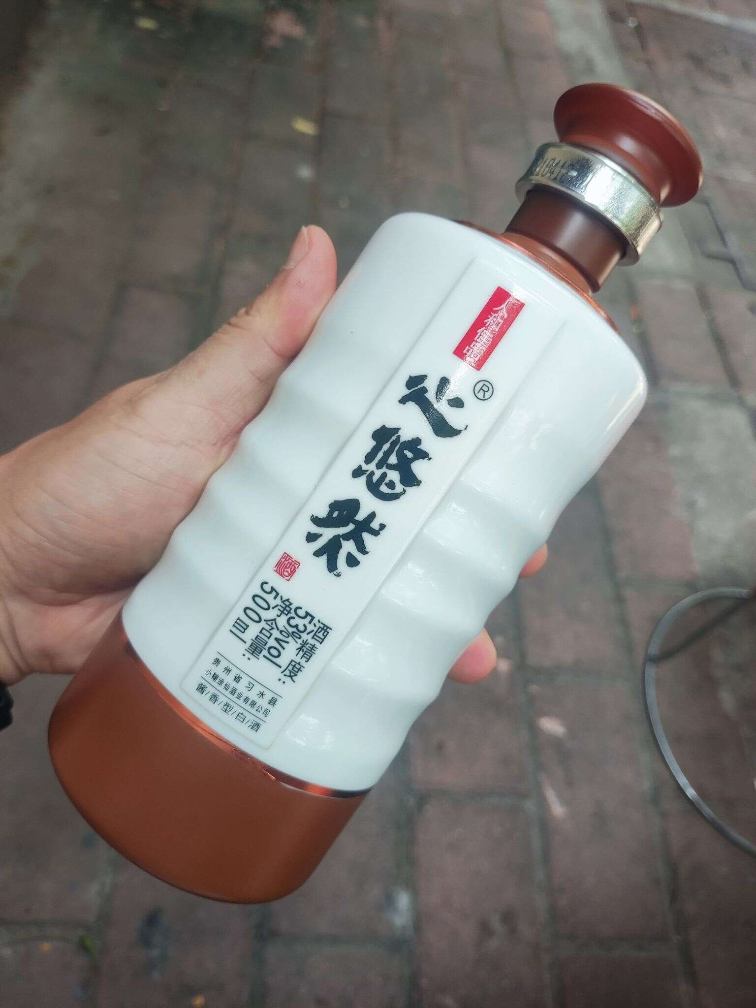 心悠然 人和 20240911 113508